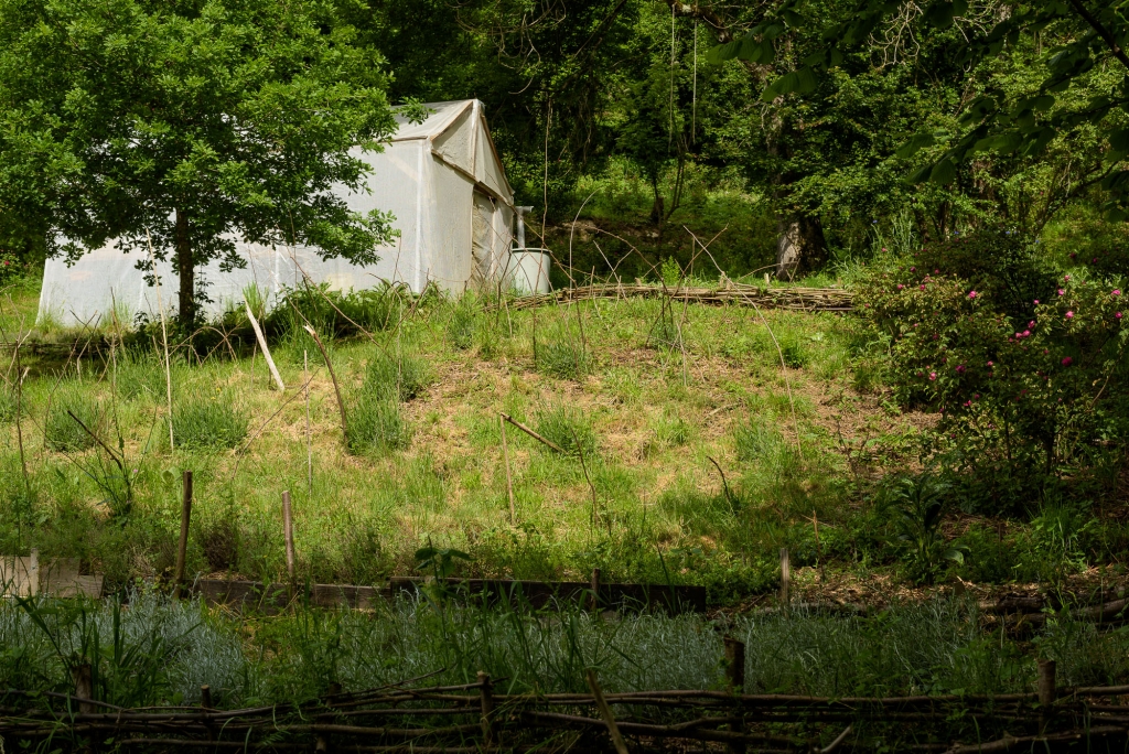 Maud cultive et transforme des plantes aromatiques et médicinales dans les Pyrénées ariégeoises, sous mention Nature & Progrès.