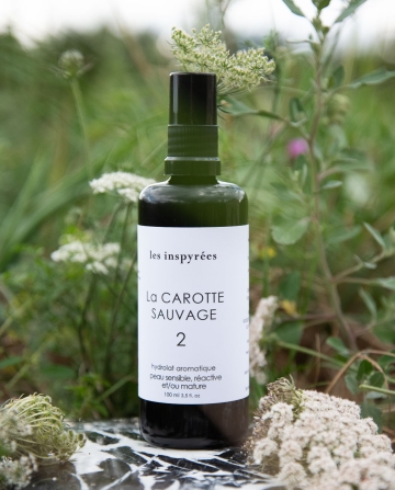 #2 La CAROTTE SAUVAGE - Hydrolat aromatique visage 100 ml