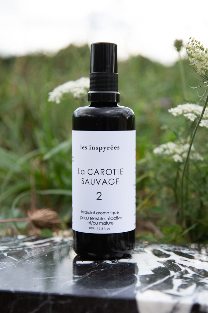 #2 La CAROTTE SAUVAGE - Hydrolat aromatique visage 100 ml